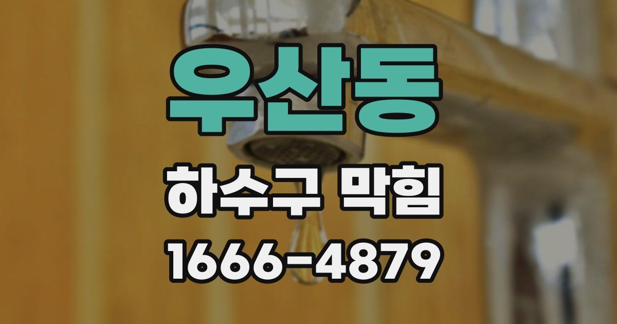 우산동 하수구 막힘