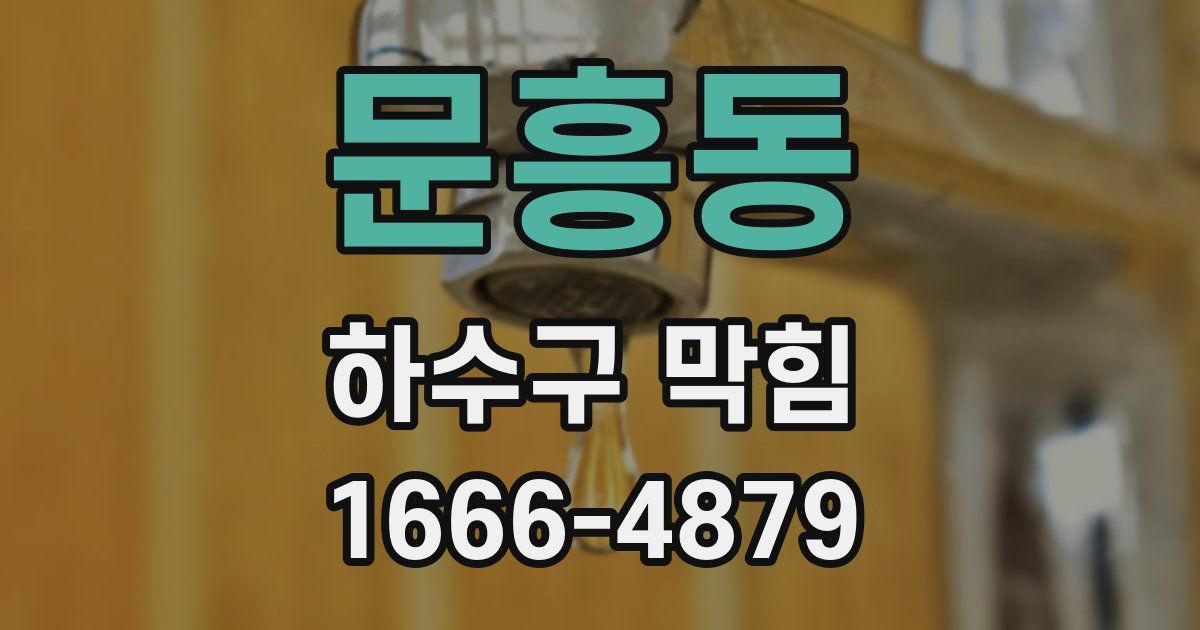 문흥동 하수구 막힘