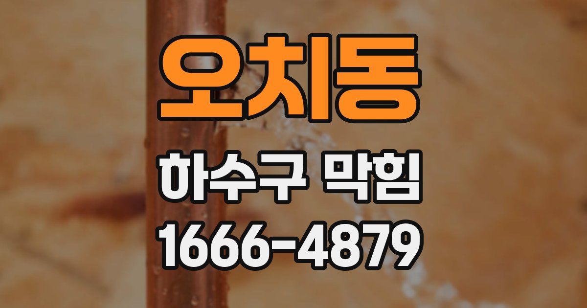 오치동 하수구 막힘