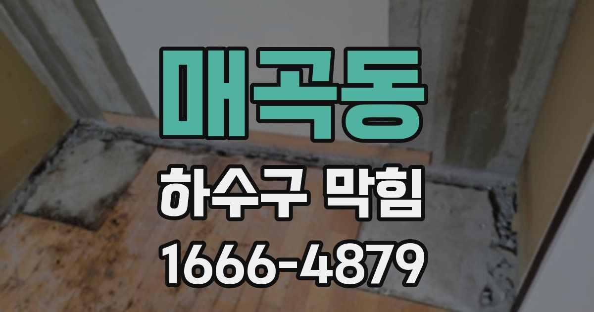 매곡동 하수구 막힘