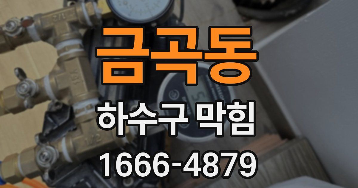 금곡동 하수구 막힘