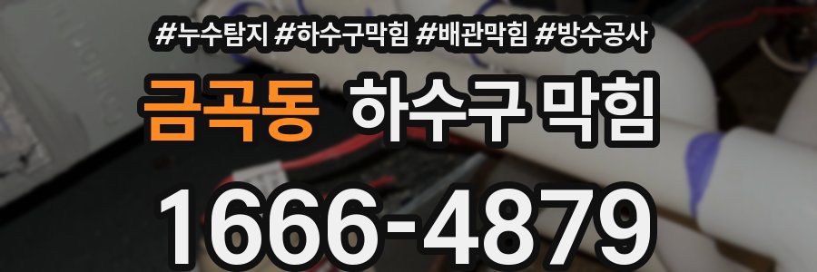 금곡동 하수구 막힘