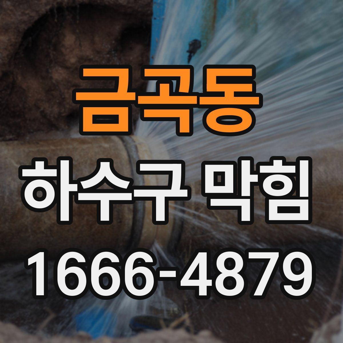 금곡동 하수구 막힘
