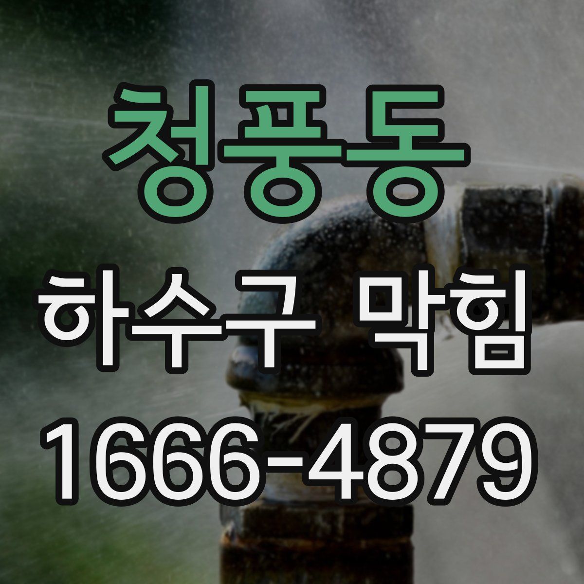 청풍동 하수구 막힘