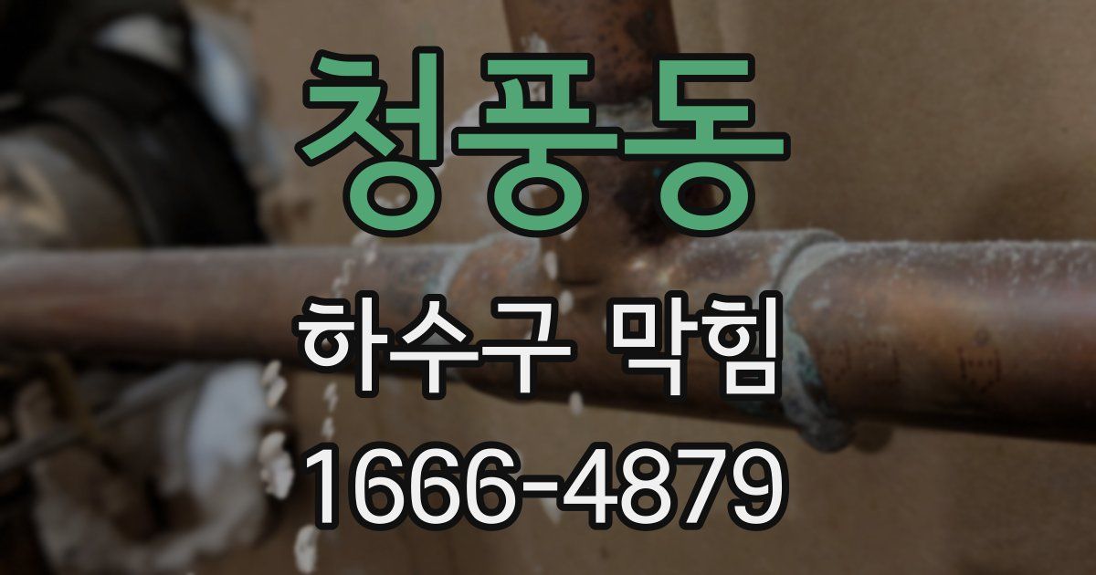 청풍동 하수구 막힘