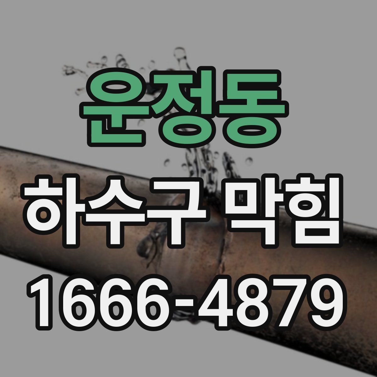 운정동 하수구 막힘