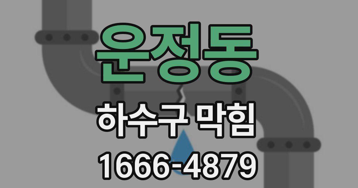 운정동 하수구 막힘