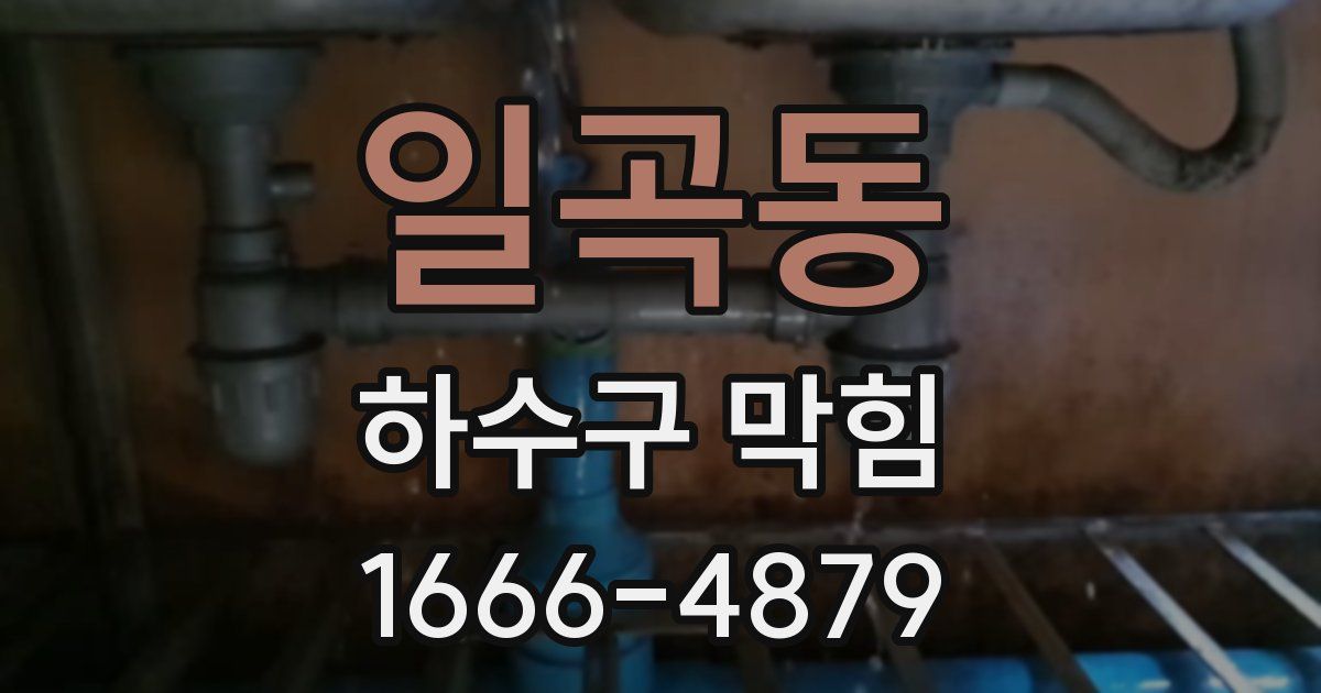 일곡동 하수구 막힘