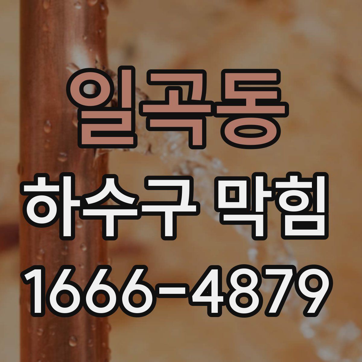 일곡동 하수구 막힘
