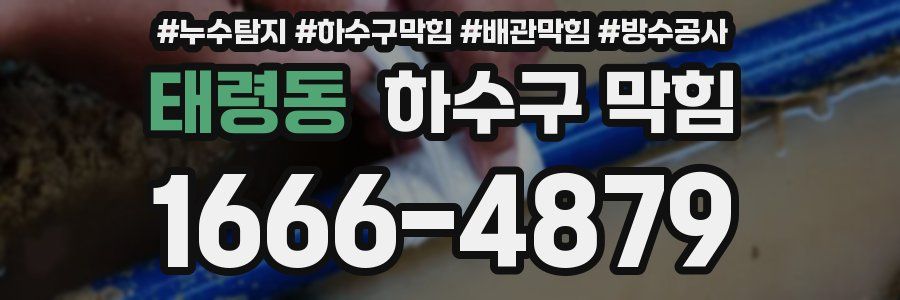 태령동 하수구 막힘
