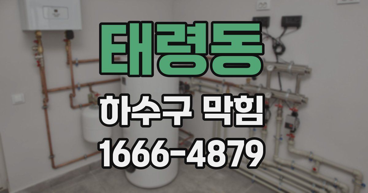 태령동 하수구 막힘