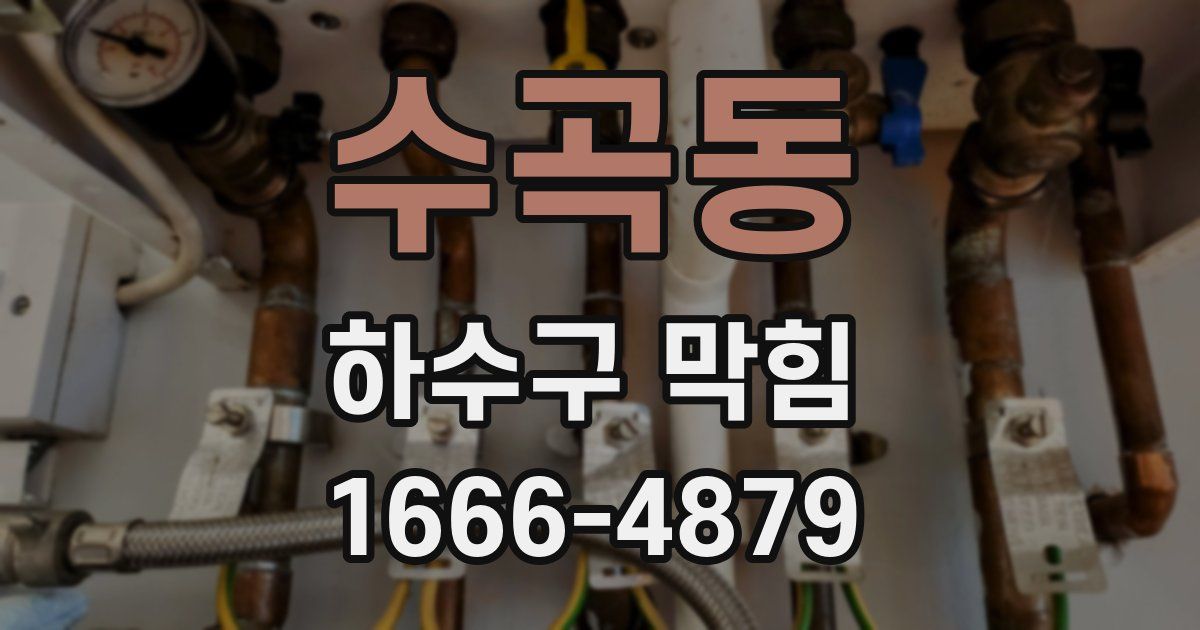 수곡동 하수구 막힘