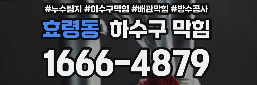 효령동 하수구 막힘