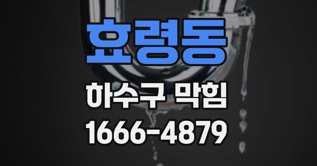 효령동 하수구 막힘