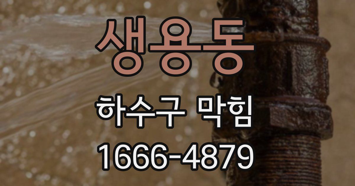 생용동 하수구 막힘