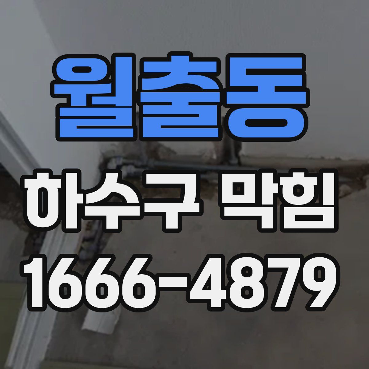 월출동 하수구 막힘