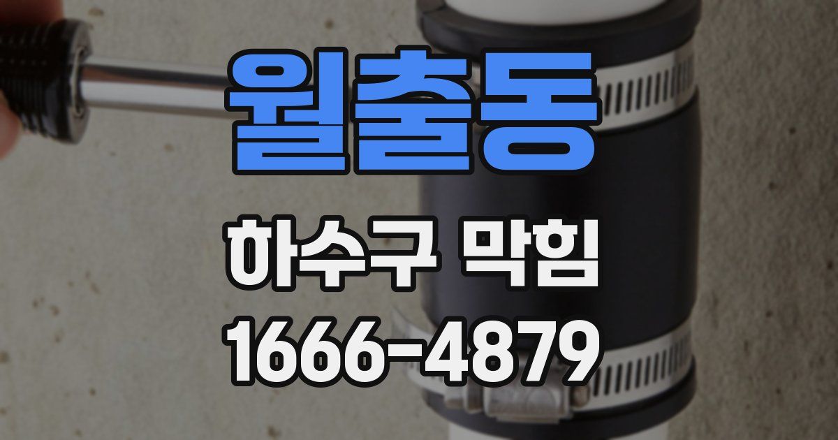 월출동 하수구 막힘