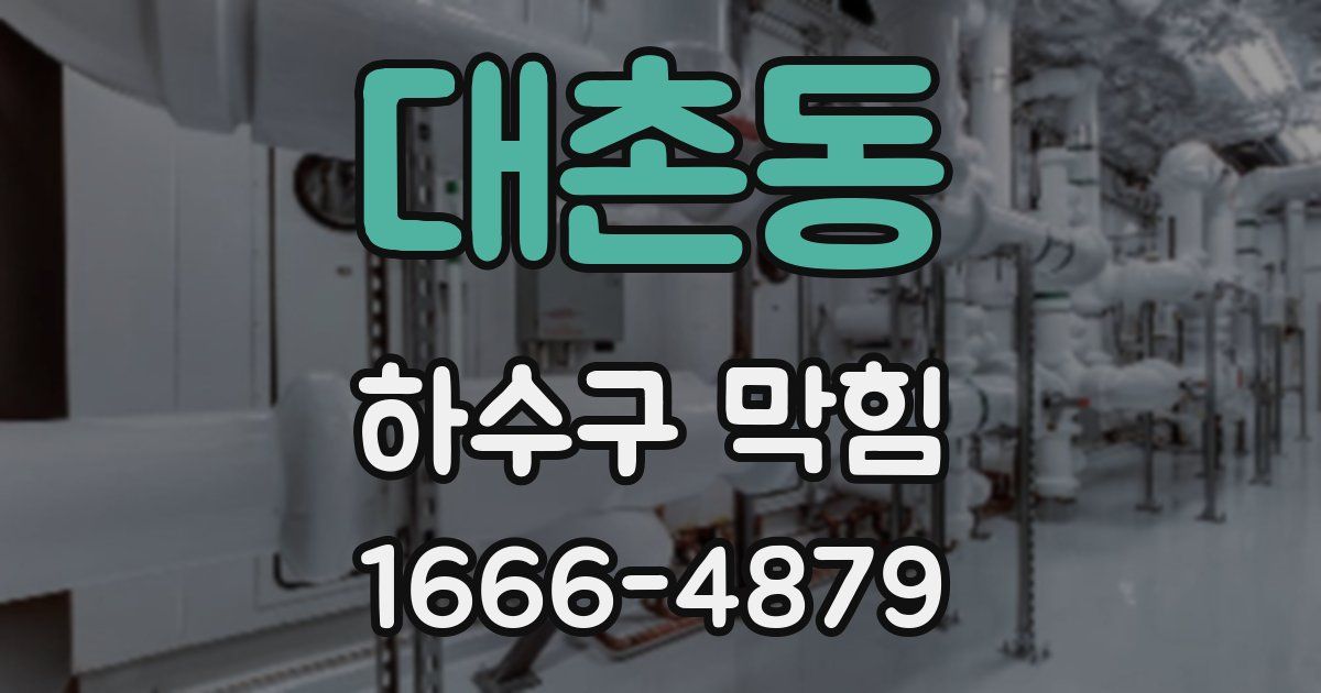 대촌동 하수구 막힘