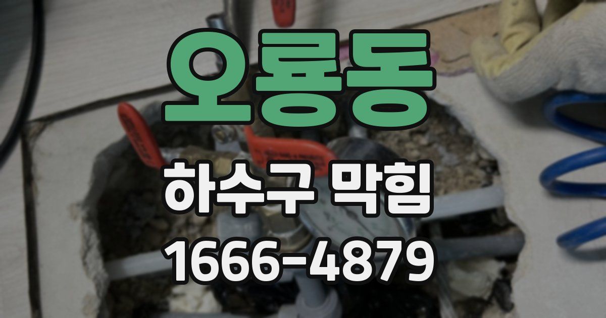 오룡동 하수구 막힘