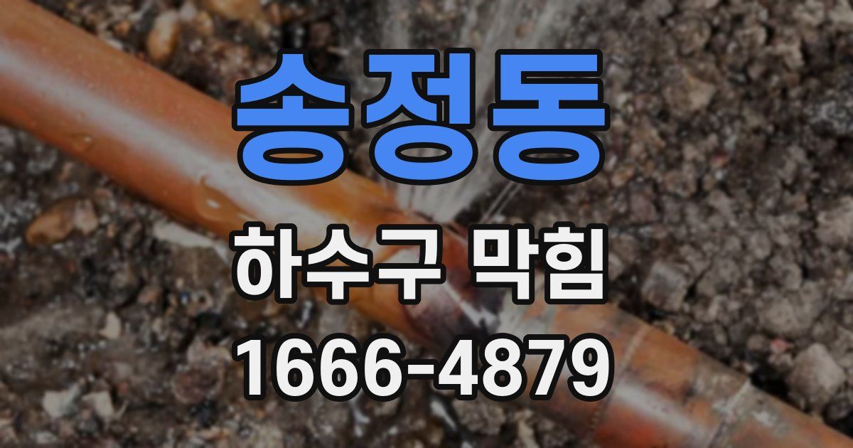 송정동 하수구 막힘