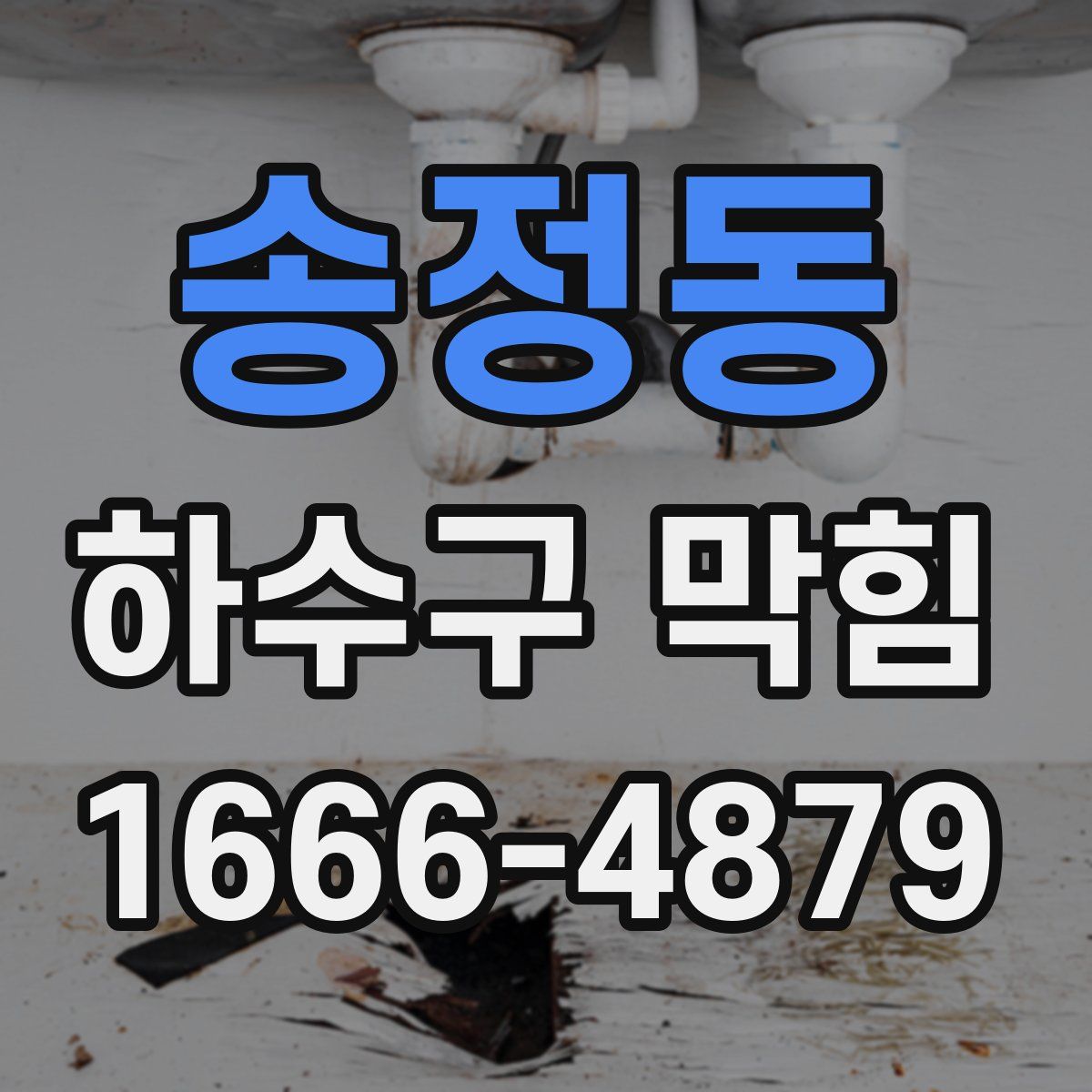 송정동 하수구 막힘