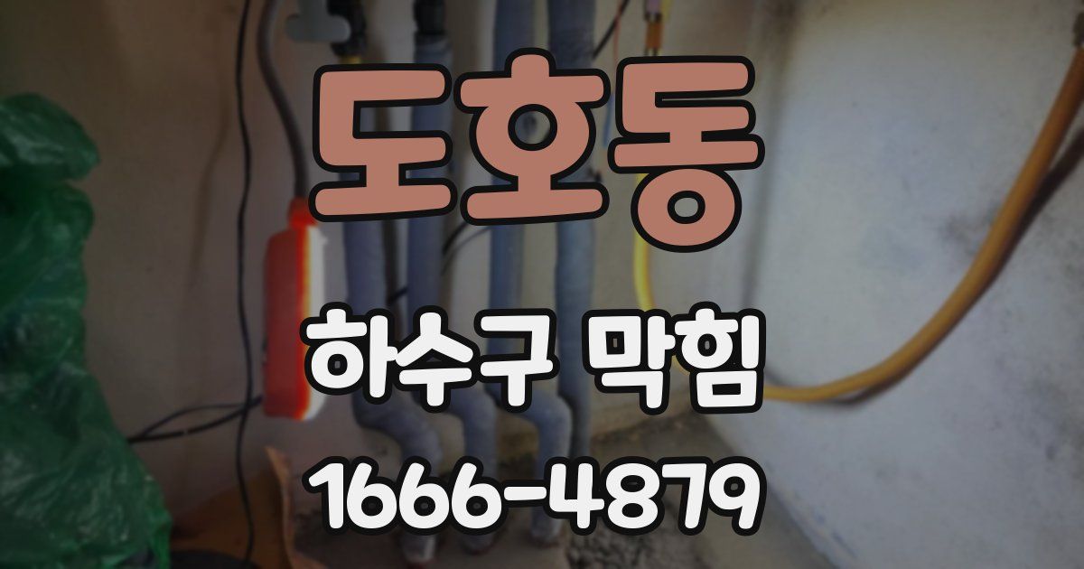 도호동 하수구 막힘