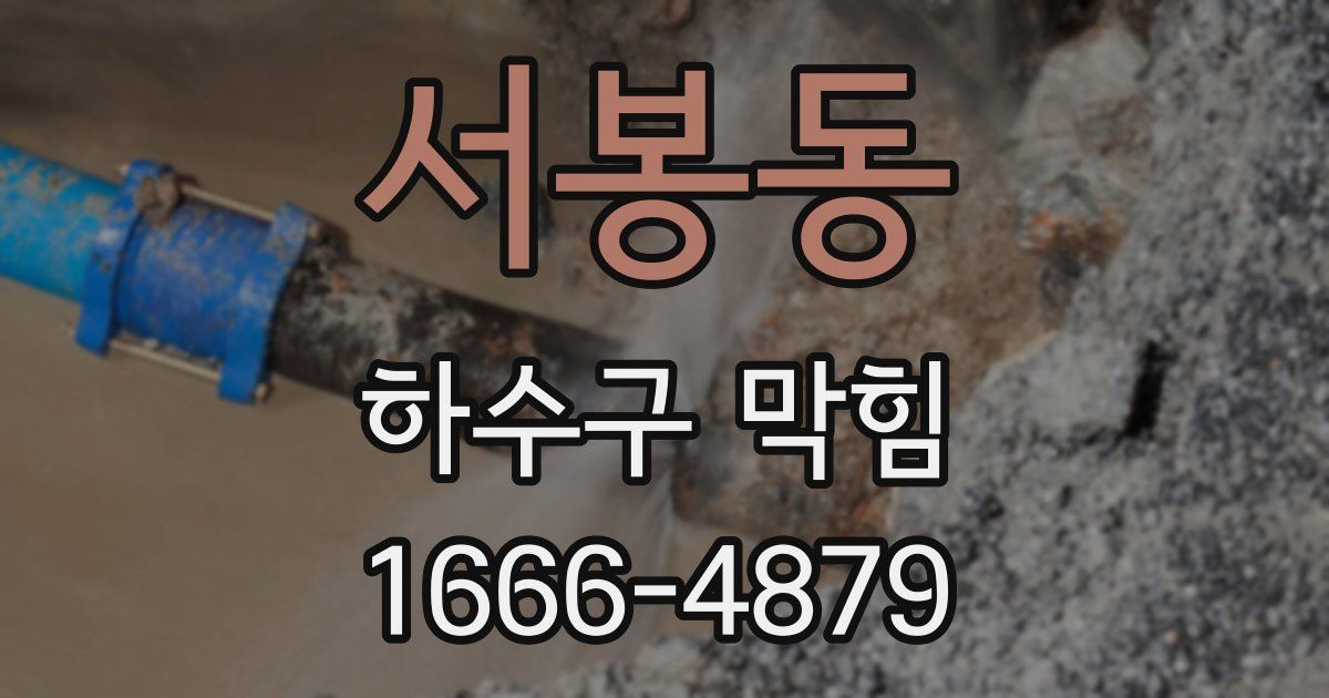 서봉동 하수구 막힘
