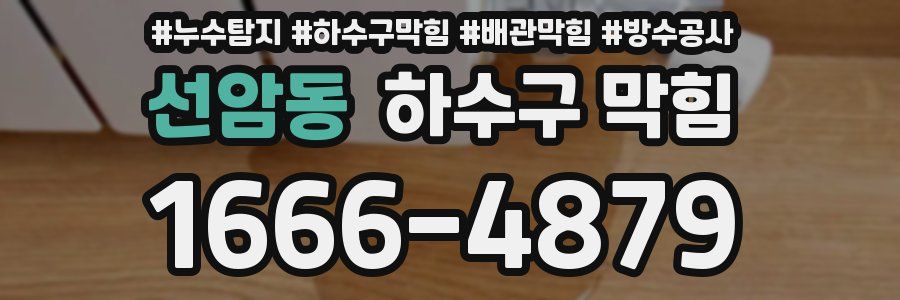 선암동 하수구 막힘