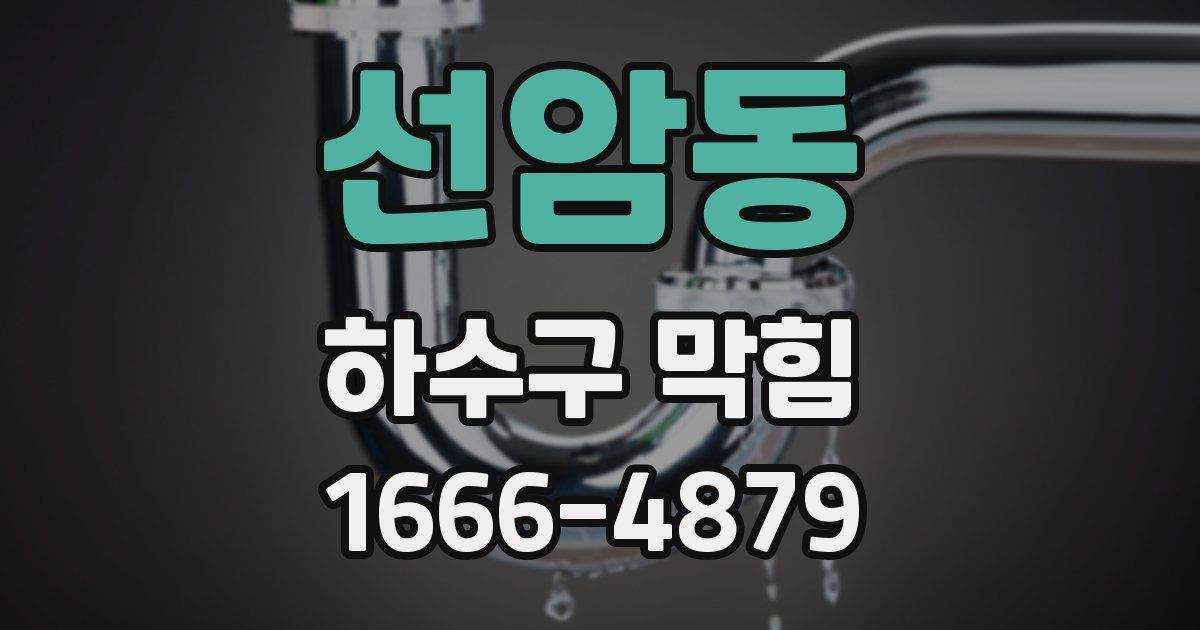 선암동 하수구 막힘
