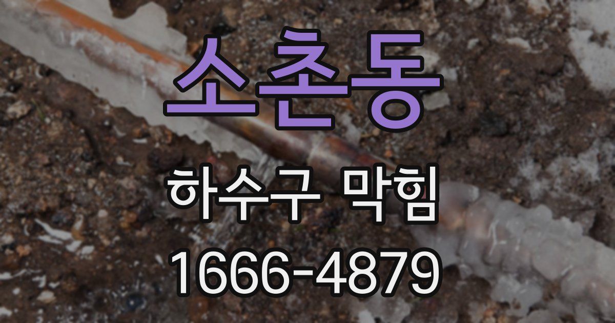 소촌동 하수구 막힘