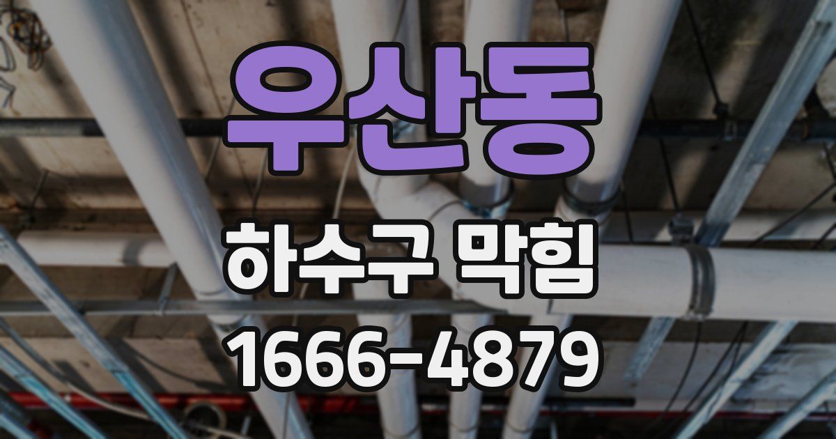 우산동 하수구 막힘