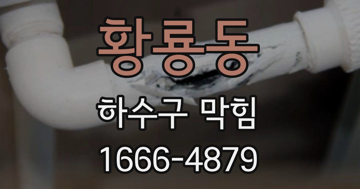 황룡동 하수구 막힘