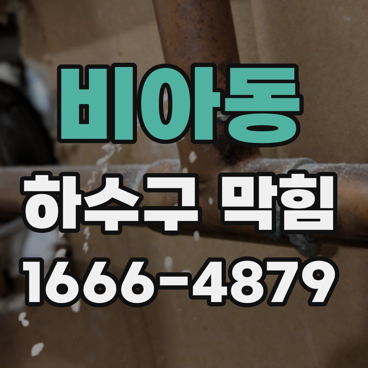 비아동 하수구 막힘