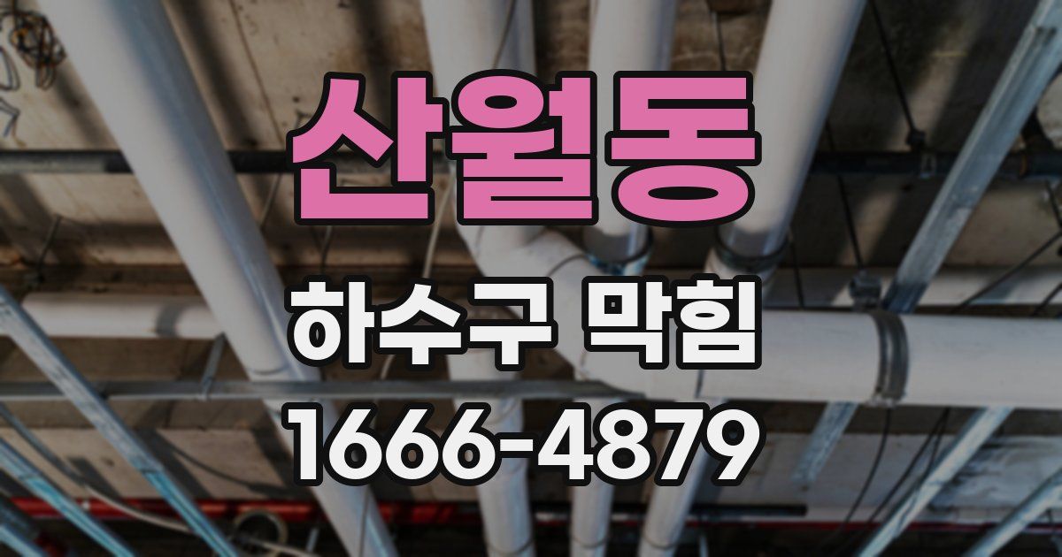 산월동 하수구 막힘