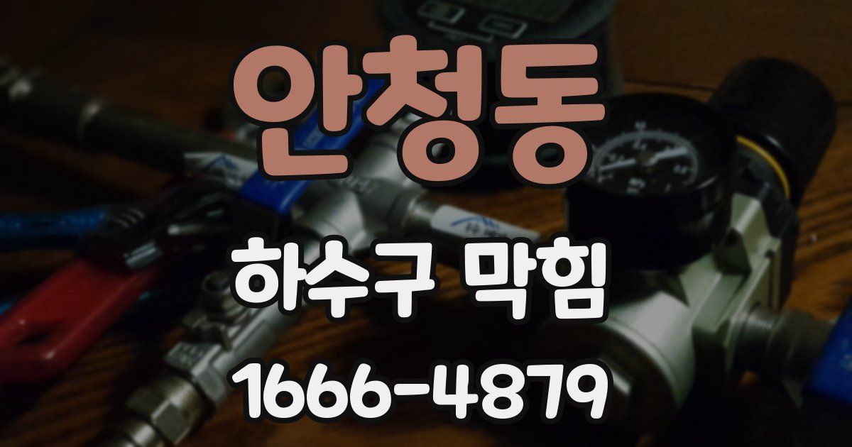 안청동 하수구 막힘