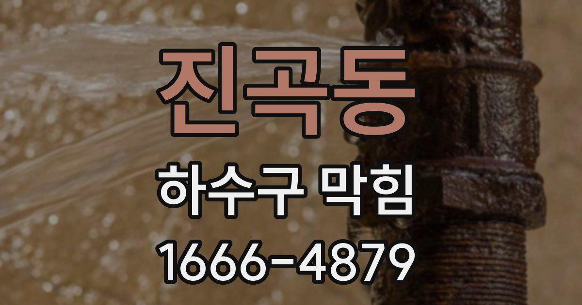 진곡동 하수구 막힘