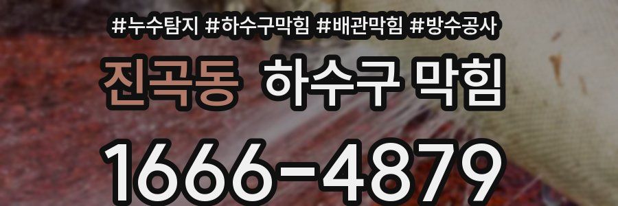 진곡동 하수구 막힘