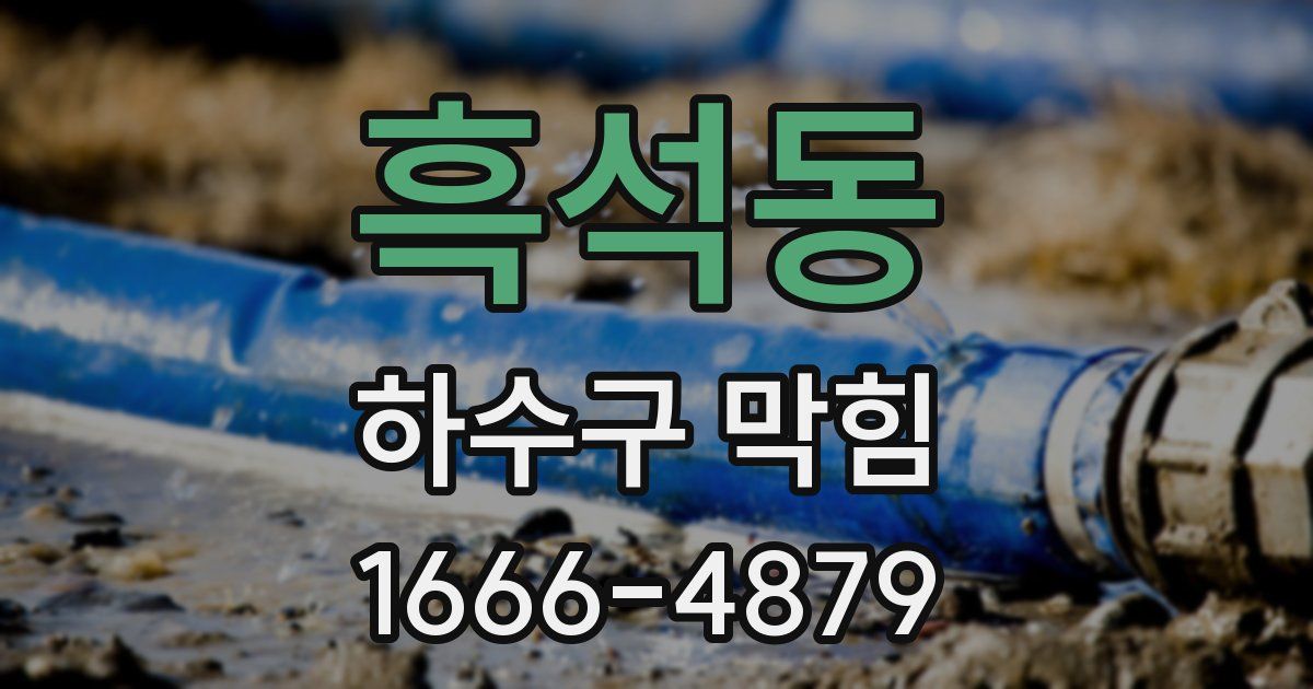 흑석동 하수구 막힘