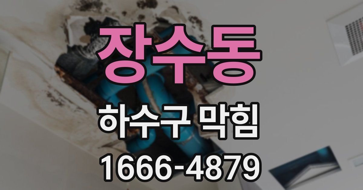 장수동 하수구 막힘