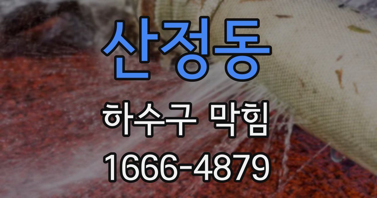 산정동 하수구 막힘