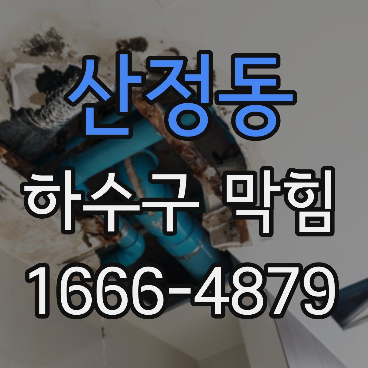 산정동 하수구 막힘