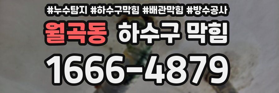 월곡동 하수구 막힘