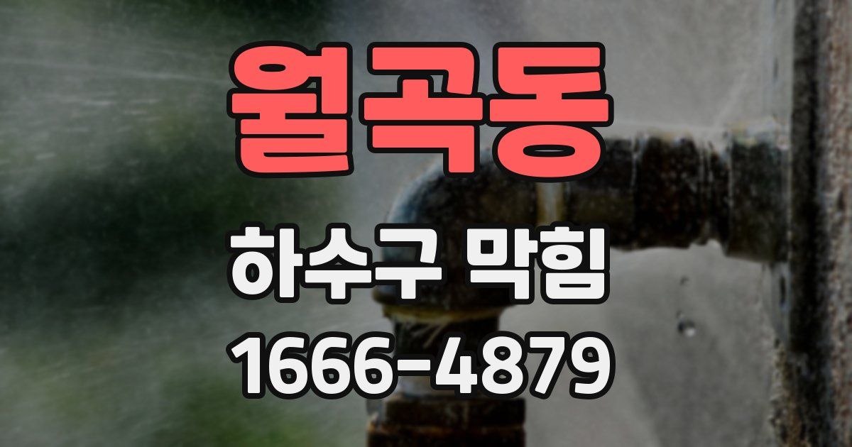 월곡동 하수구 막힘