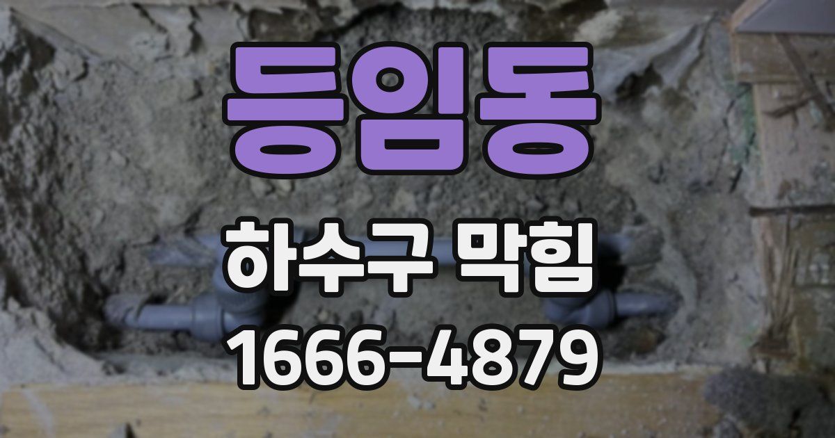 등임동 하수구 막힘