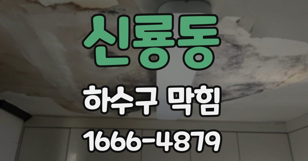신룡동 하수구 막힘