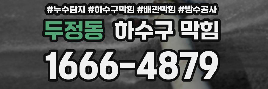 두정동 하수구 막힘