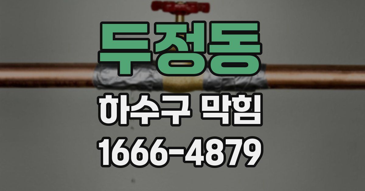두정동 하수구 막힘
