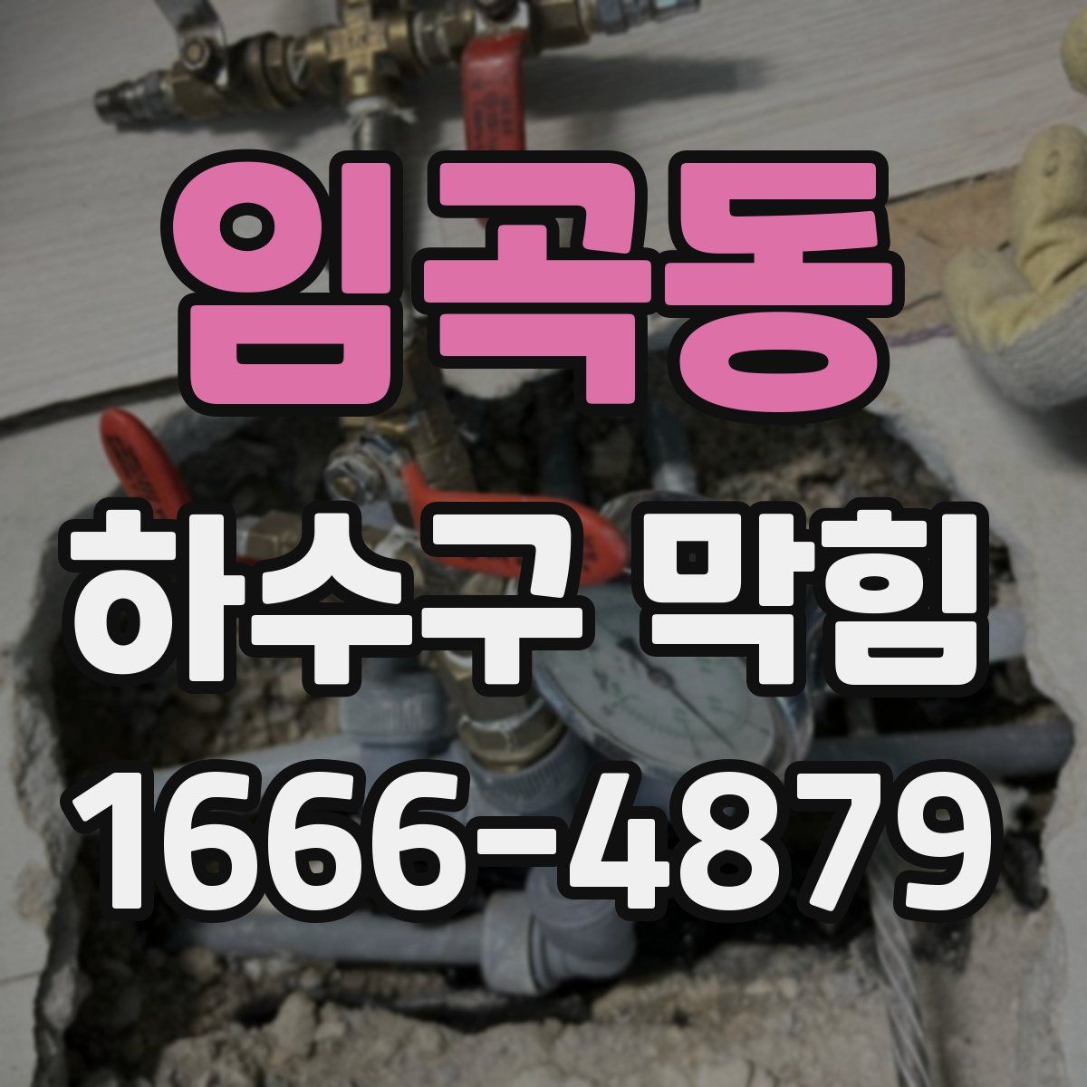 임곡동 하수구 막힘