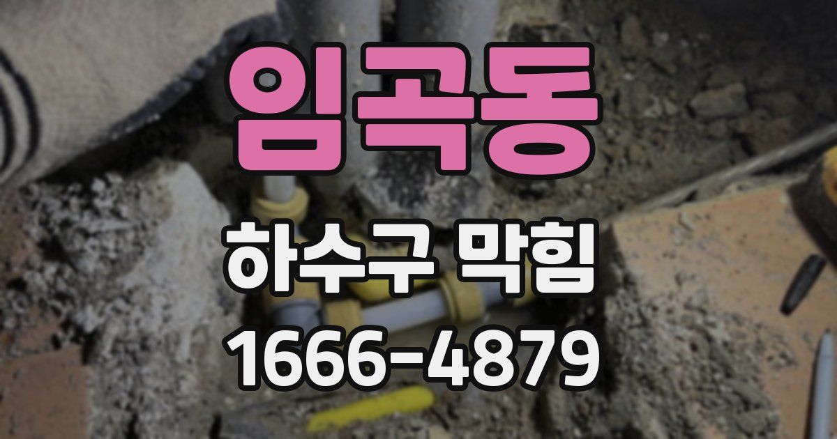임곡동 하수구 막힘