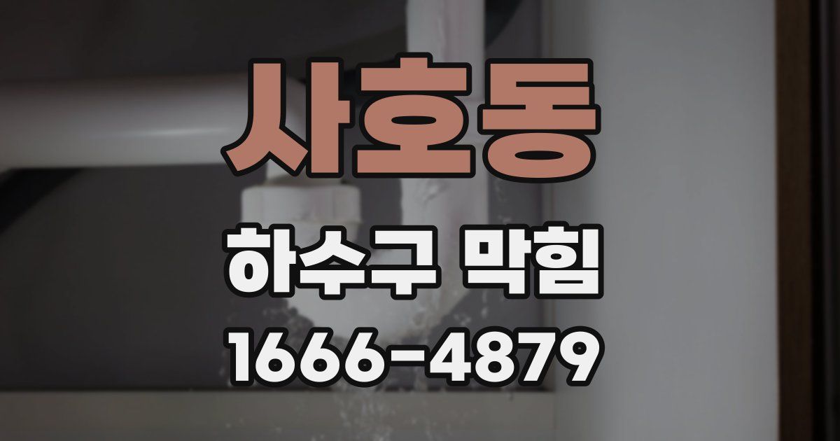 사호동 하수구 막힘